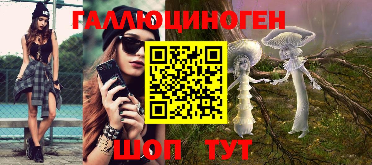 Псилоцибиновые грибы Psilocybine cubensis Грозный