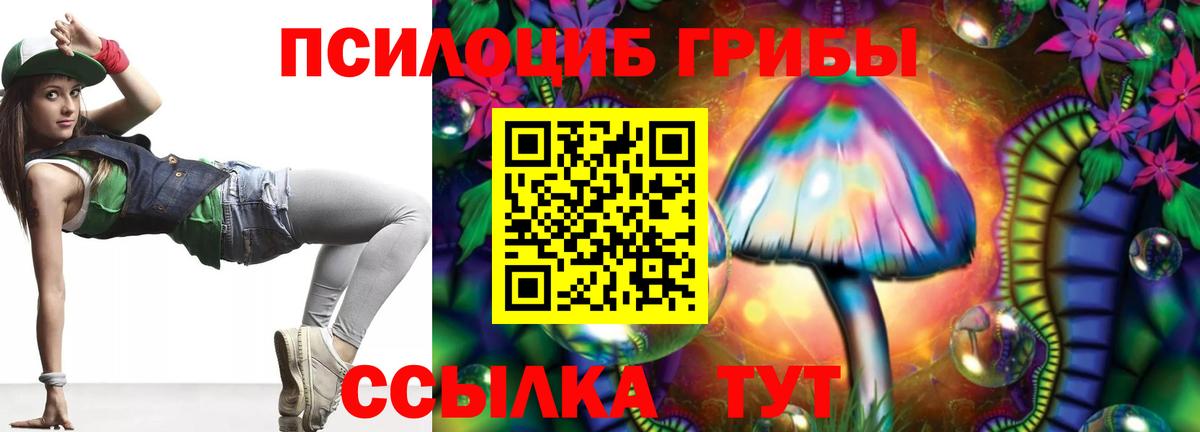 МЕФ Грозный