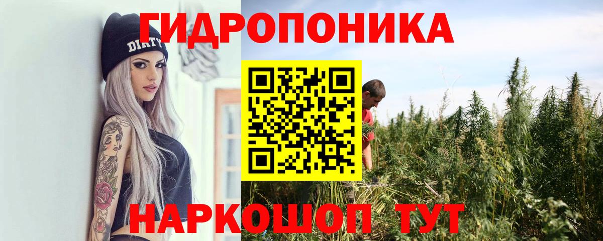 Грозный  МАРИХУАНА сатива  Канабис Ganja  Вход с VPN  Шишки марихуана конопля  МАРИХУАНА LSD WEED 